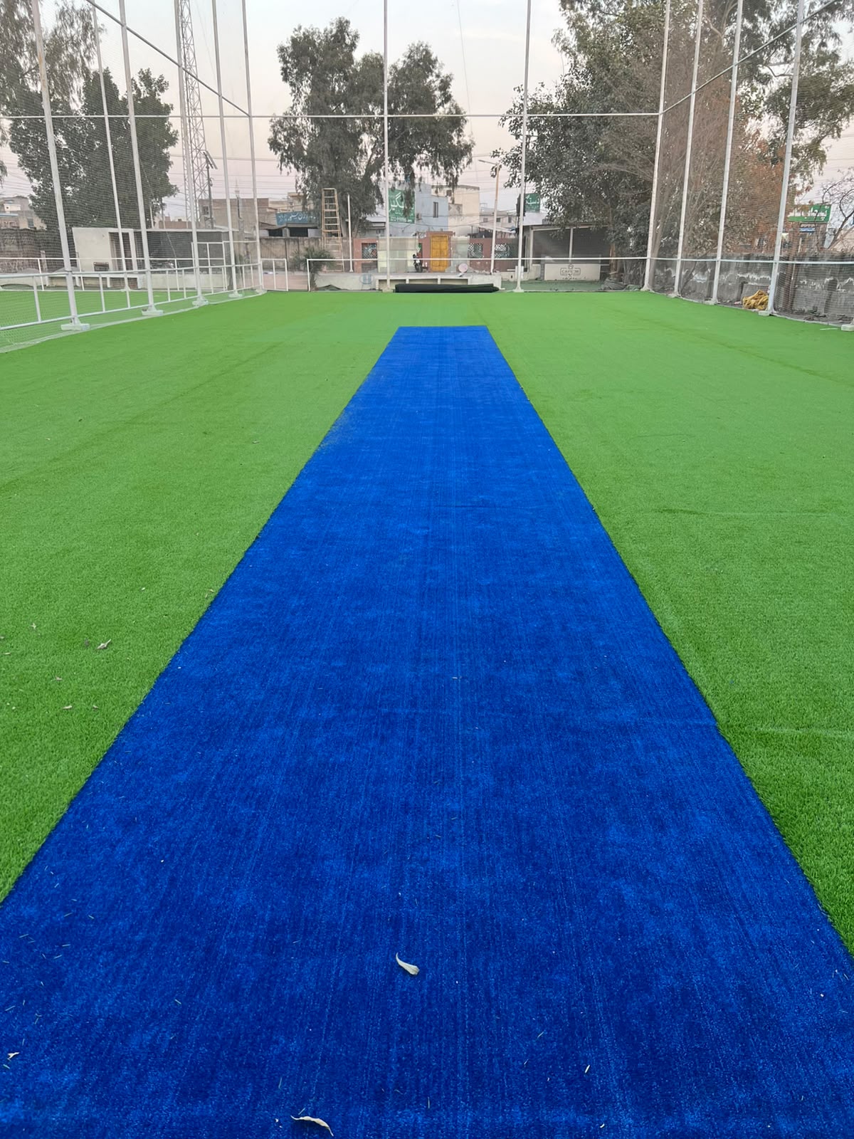 Ground at sunset